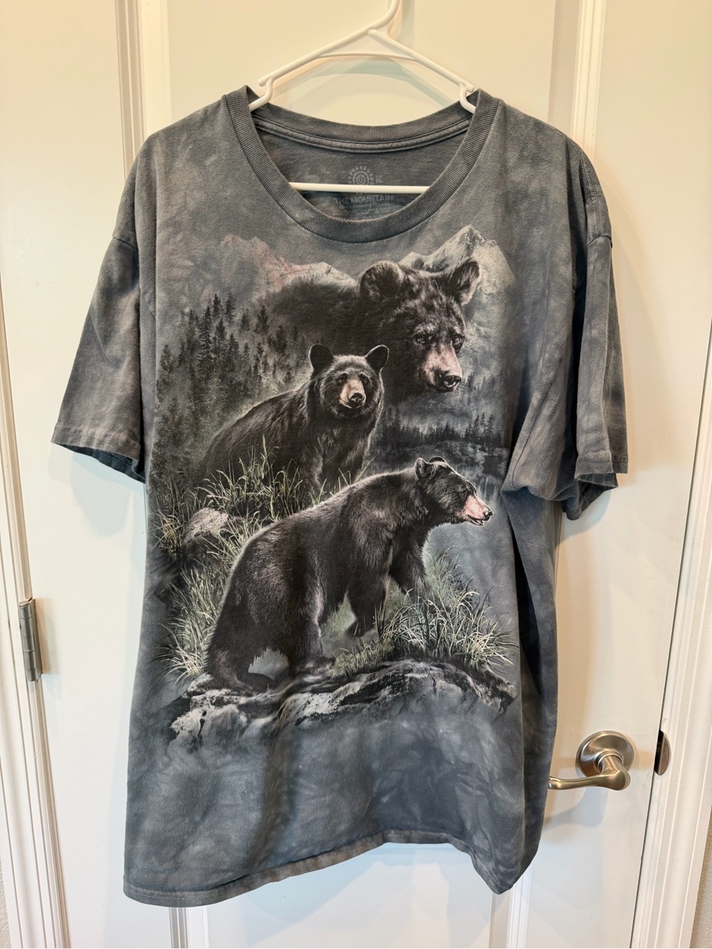 Mens XL The Mountain Tshirt